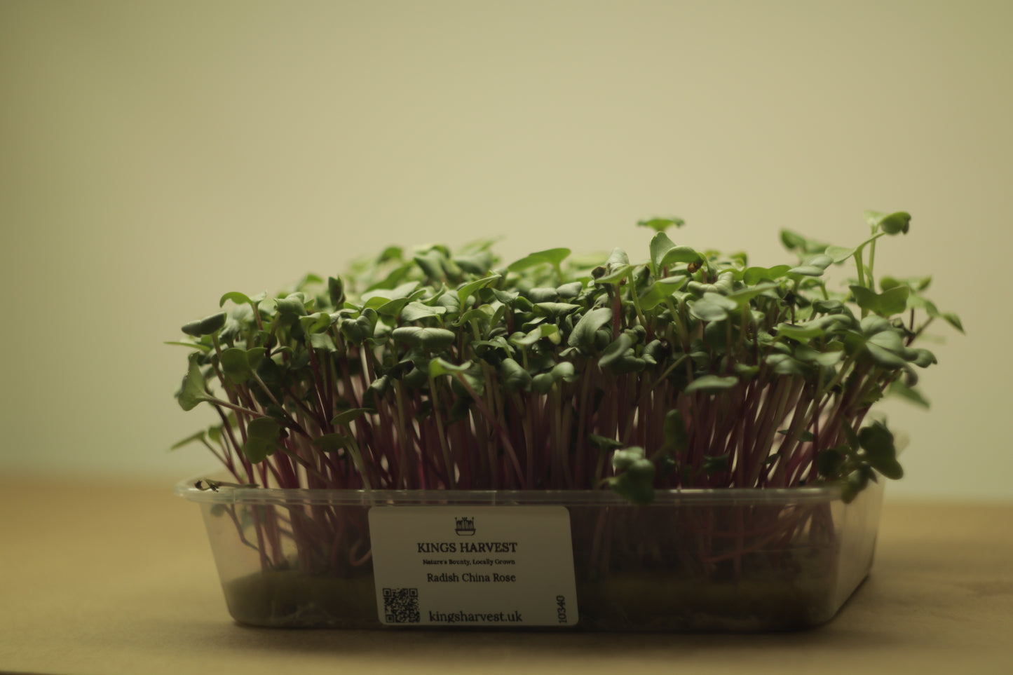 Radish China Rose